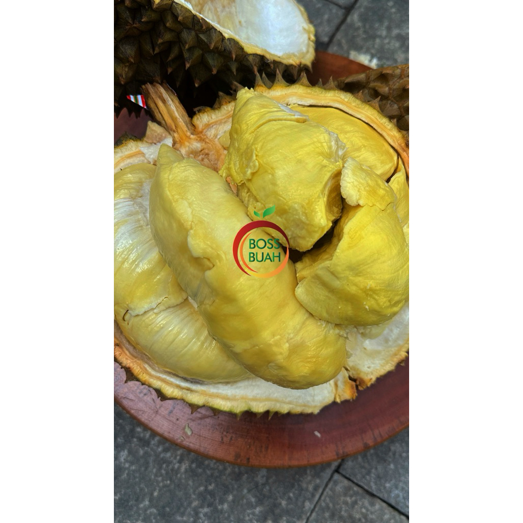 Durian Montong Utuh Palu Boss Buah (HARGA PER KG)