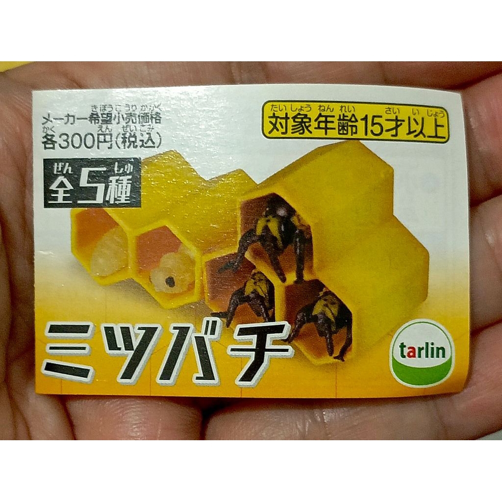 Figure Lebah Tarlin Kaiyodo Japan Exclusive Life Cycle Worker Bee Insect 