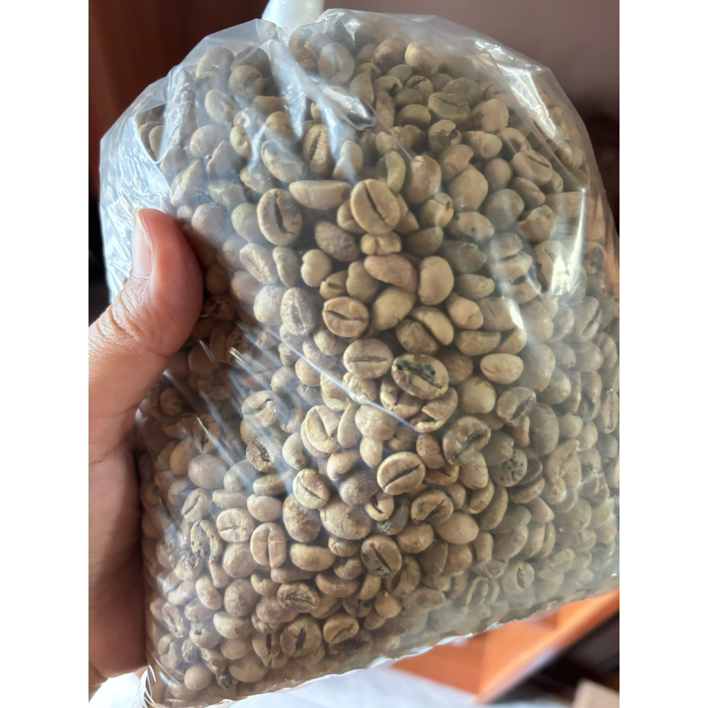 Green Bean Kopi Robusta