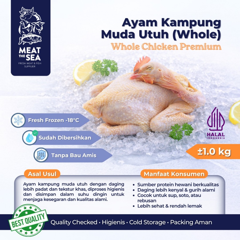 Ayam Kampung Muda Utuh (Whole)