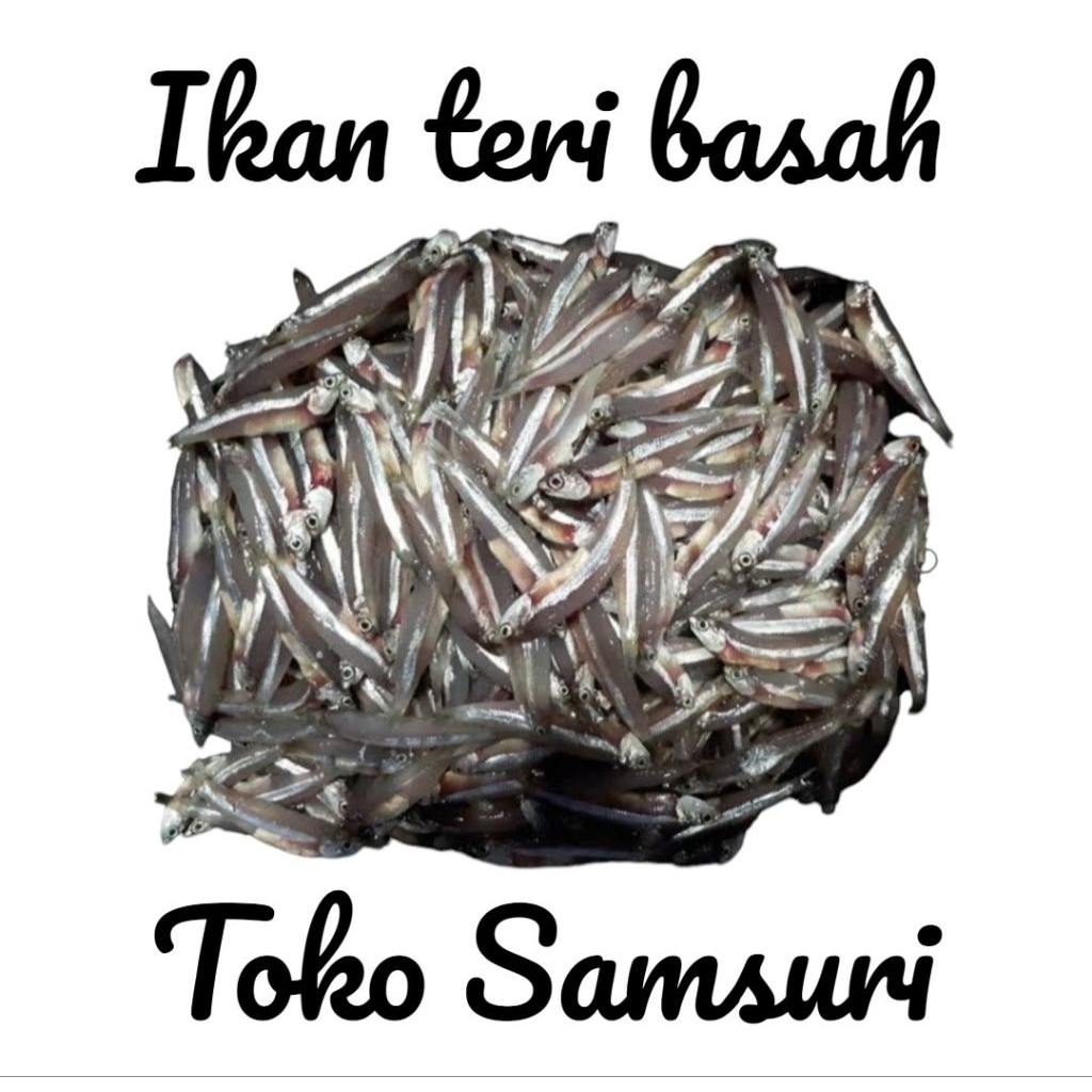 Ikan • Ikan Teri Basah Mentah 1kg