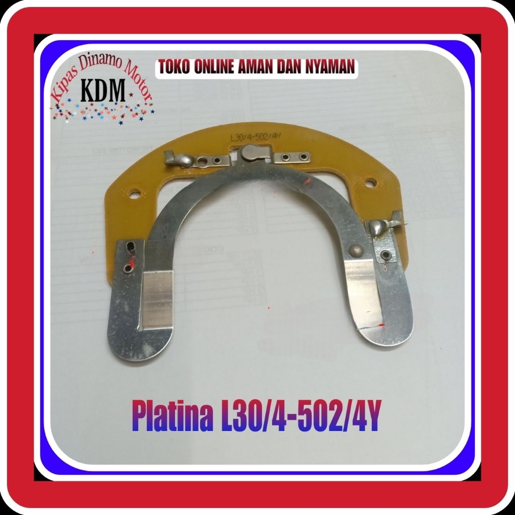 Platina L30/4-502/4Y Platina Electro Motor-Platina Dinamo 1Phase 220V