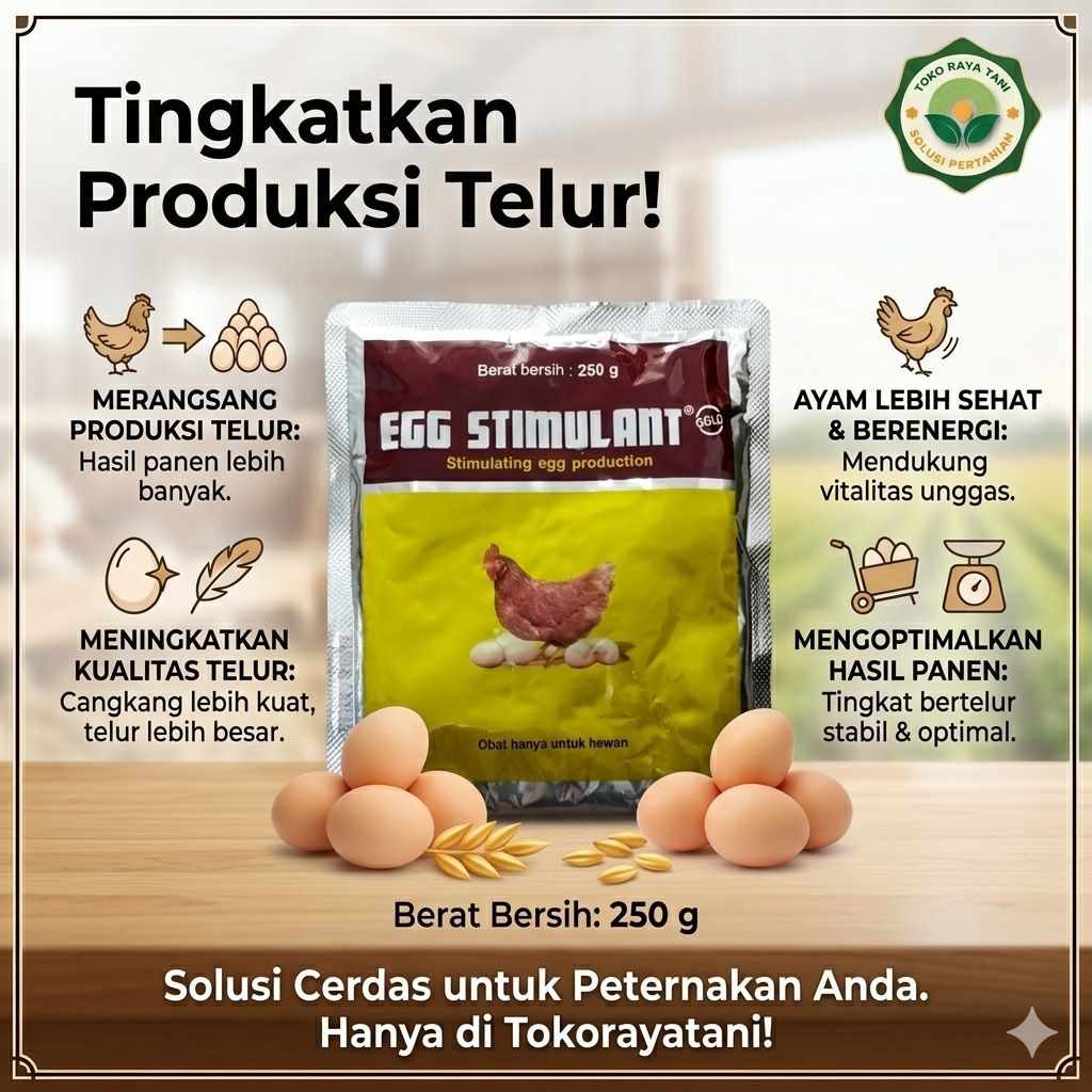 Egg stimulant 250gr vitamin untuk ayam petelur