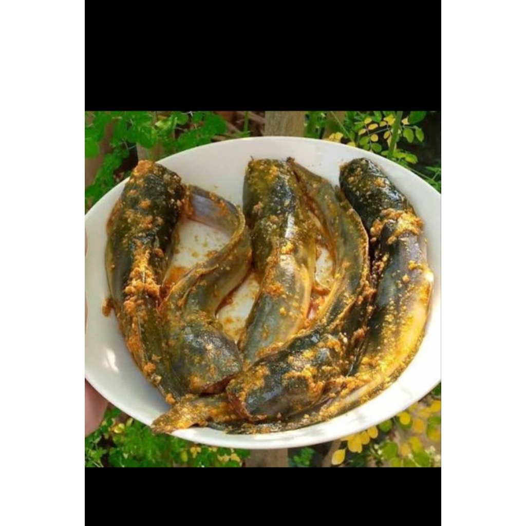 Ikan Lele Bumbu Kuning Siap Masak