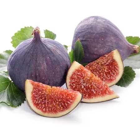 bibit buah tin black mission