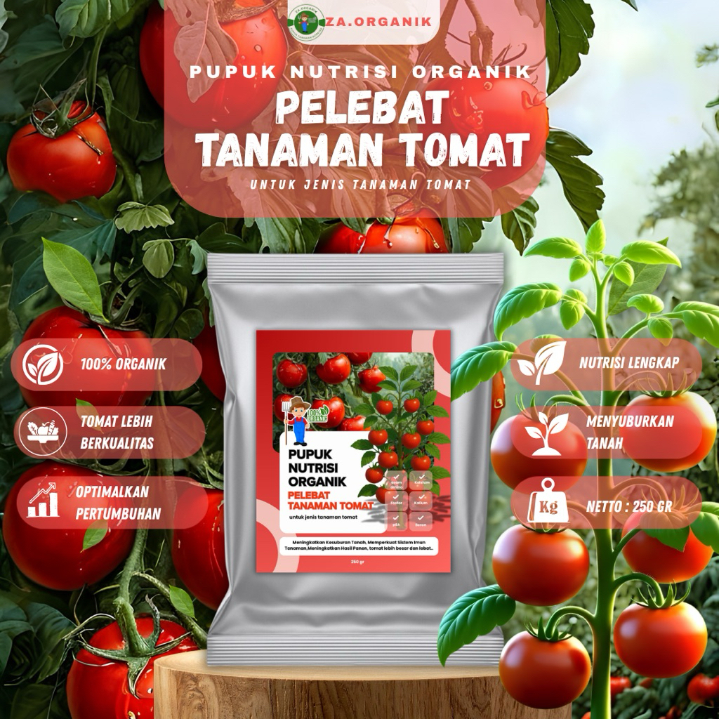 Pupuk nutrisi organik tanaman tomat|booster tanaman tomat