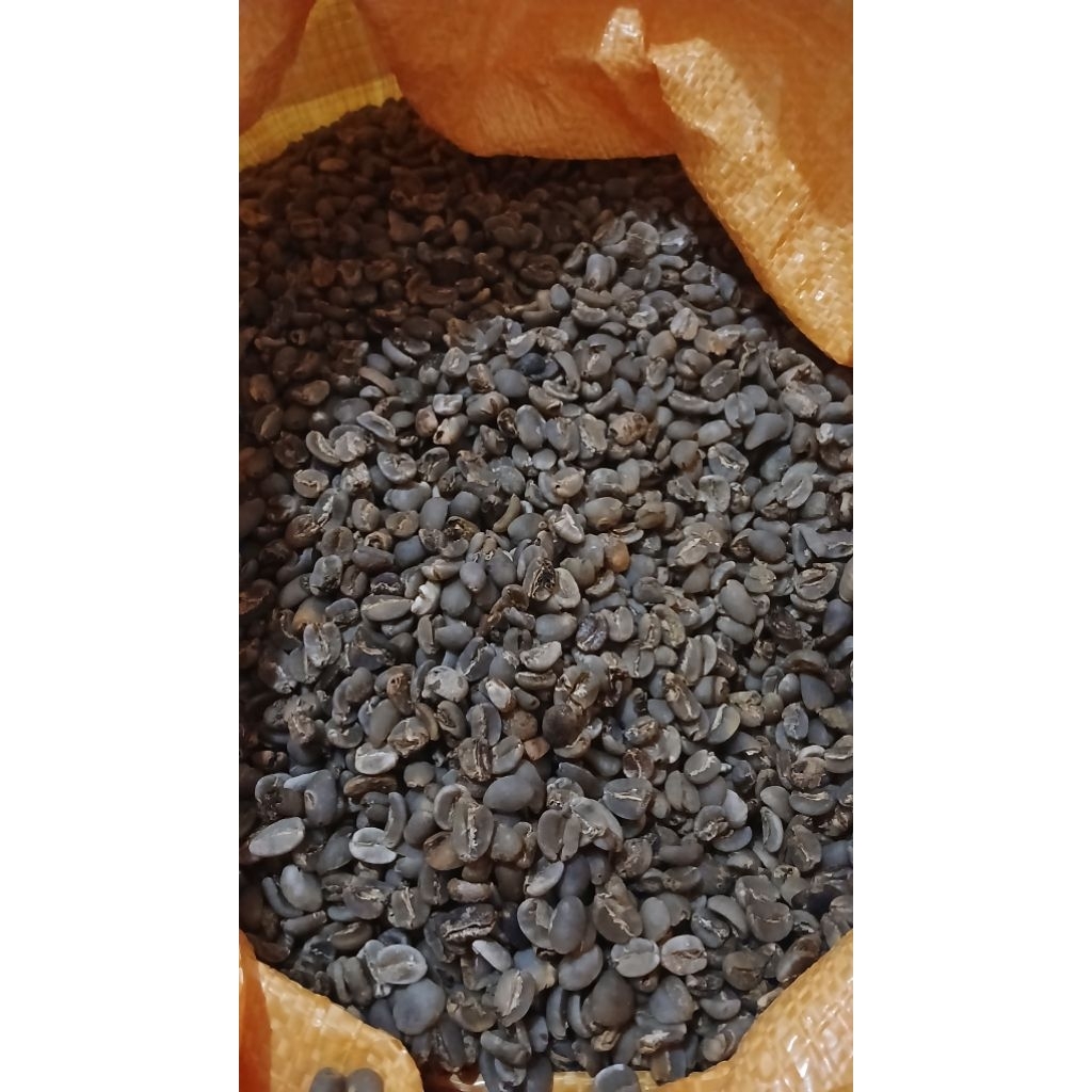 Green Bean Arabika Grade 2 (Asalan)