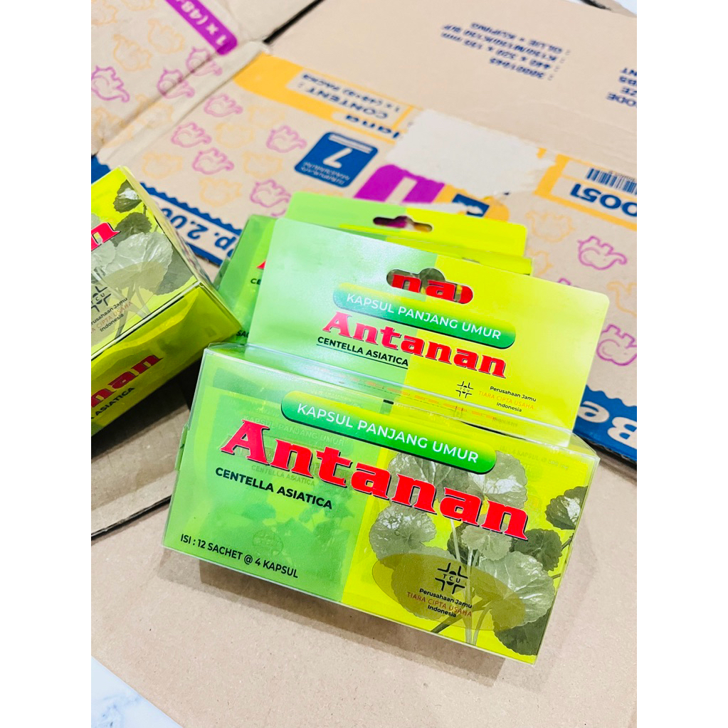 Antanan kapsul Original is(12bungkus)