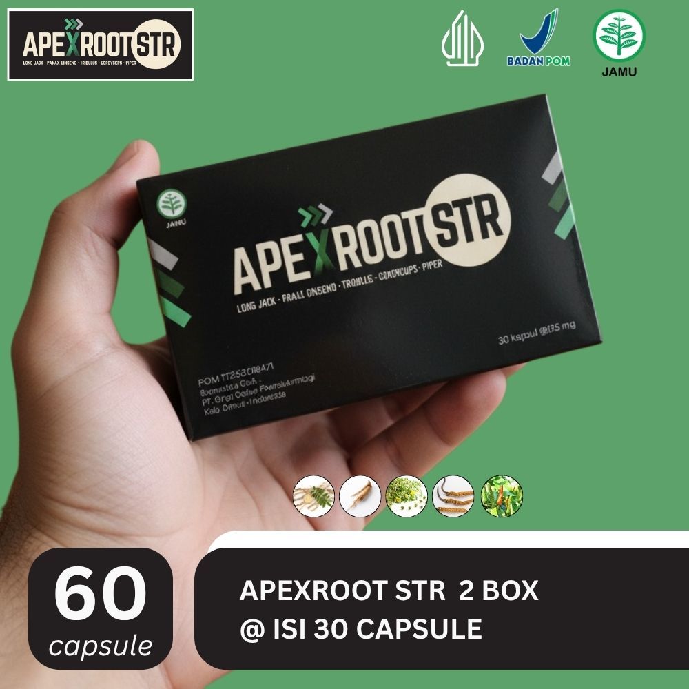 Apexroot STR Testo Booster Pria Pasak Bumi Tongkat Ali Tribulus Ginseng Cordyceps 60 Kapsul