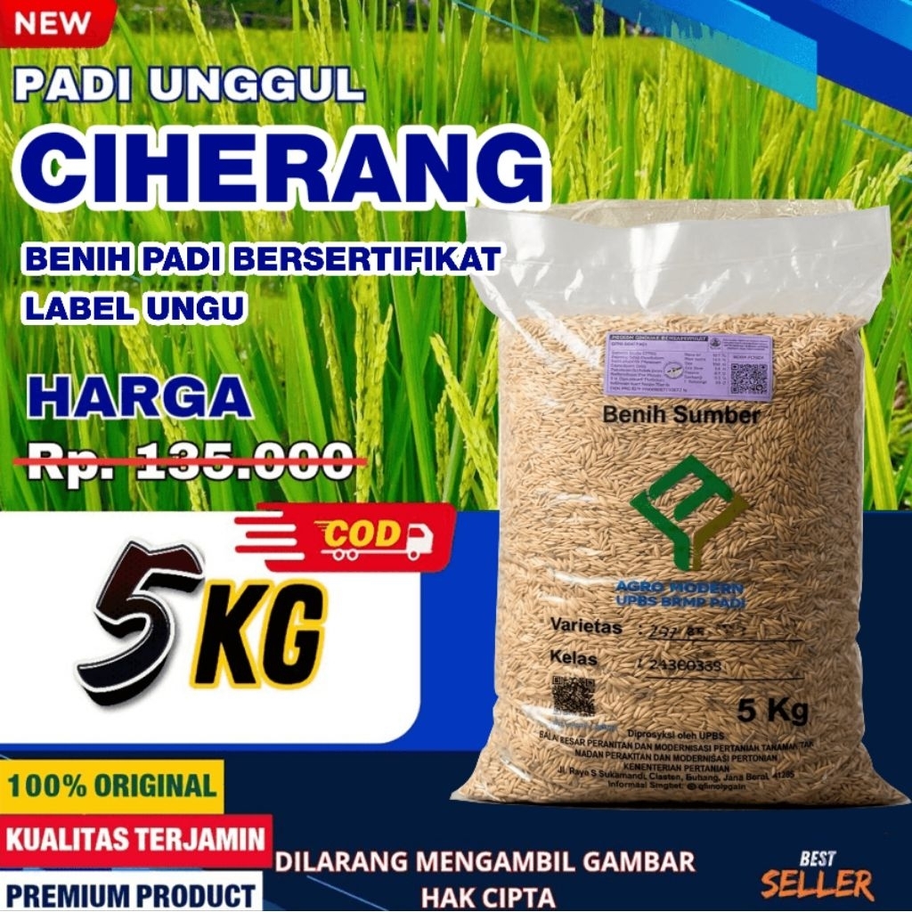 Benih padi bibit padi CIHERANG bersertifikat label ungu kualitas premium kemasan 5 kg