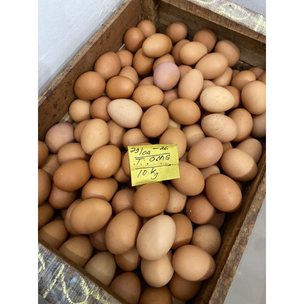 TELOR TELUR OMEGA MENTAH 1kg ORANGE