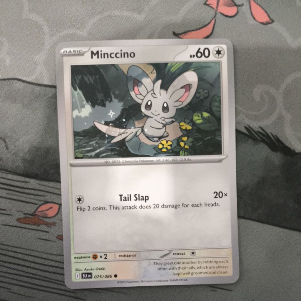 Minccino 75/86 EN bbwf