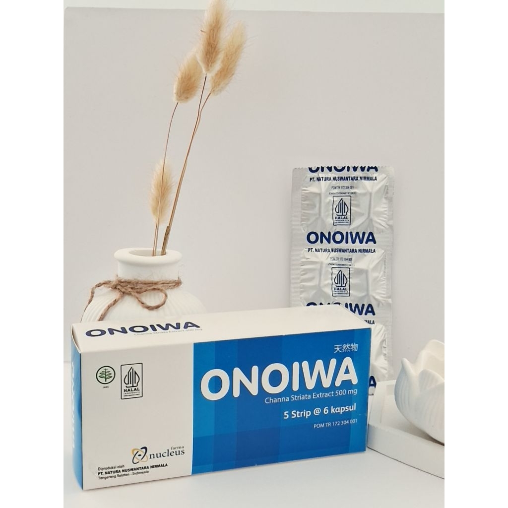 Original ONOIWA KAPSUL ALBUMIN IKAN GABUS 30 KAPSUL - Meningkatkan Imunitas, Albumin, Antioksidan