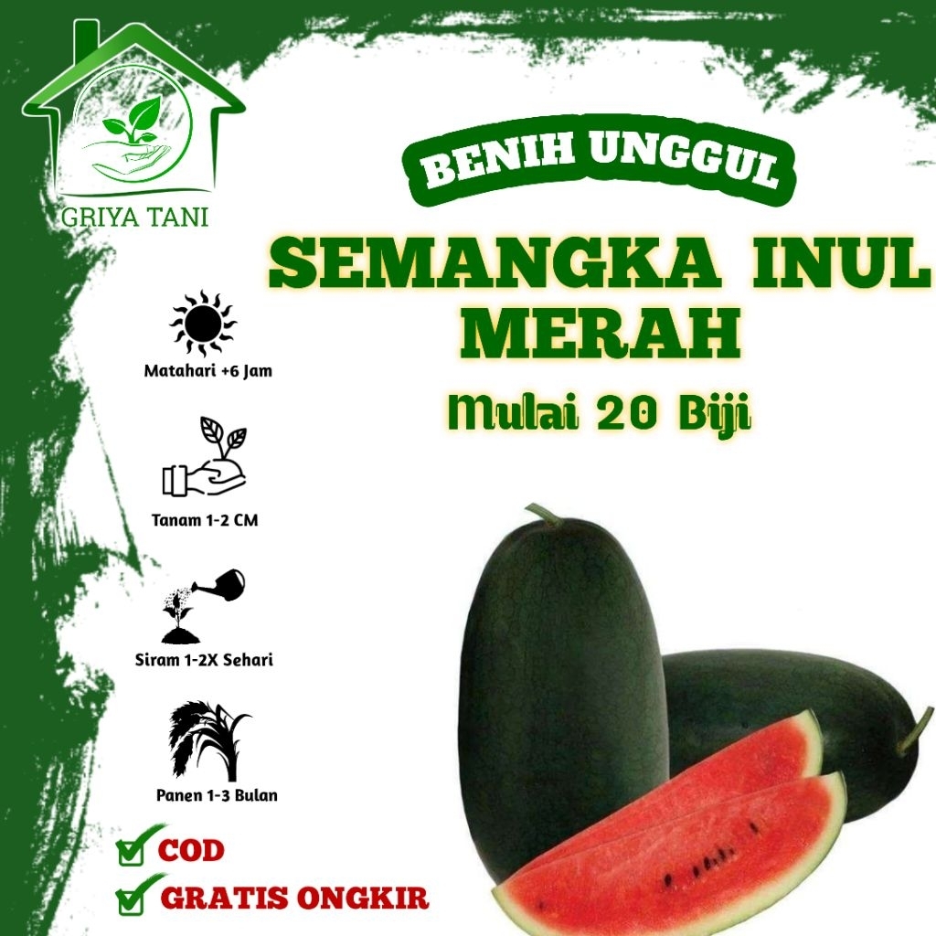 ​Benih Semangka Inul Merah Unggul - Bibit Semangka Lonjong Super Manis