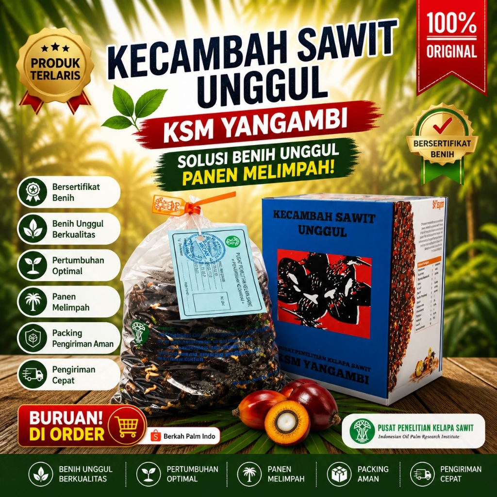 Kecambah Sawit Unggul PPKS YANGAMBI Original | 100% Bersertifikat Resmi isi 250 Butir Siap Tanam
