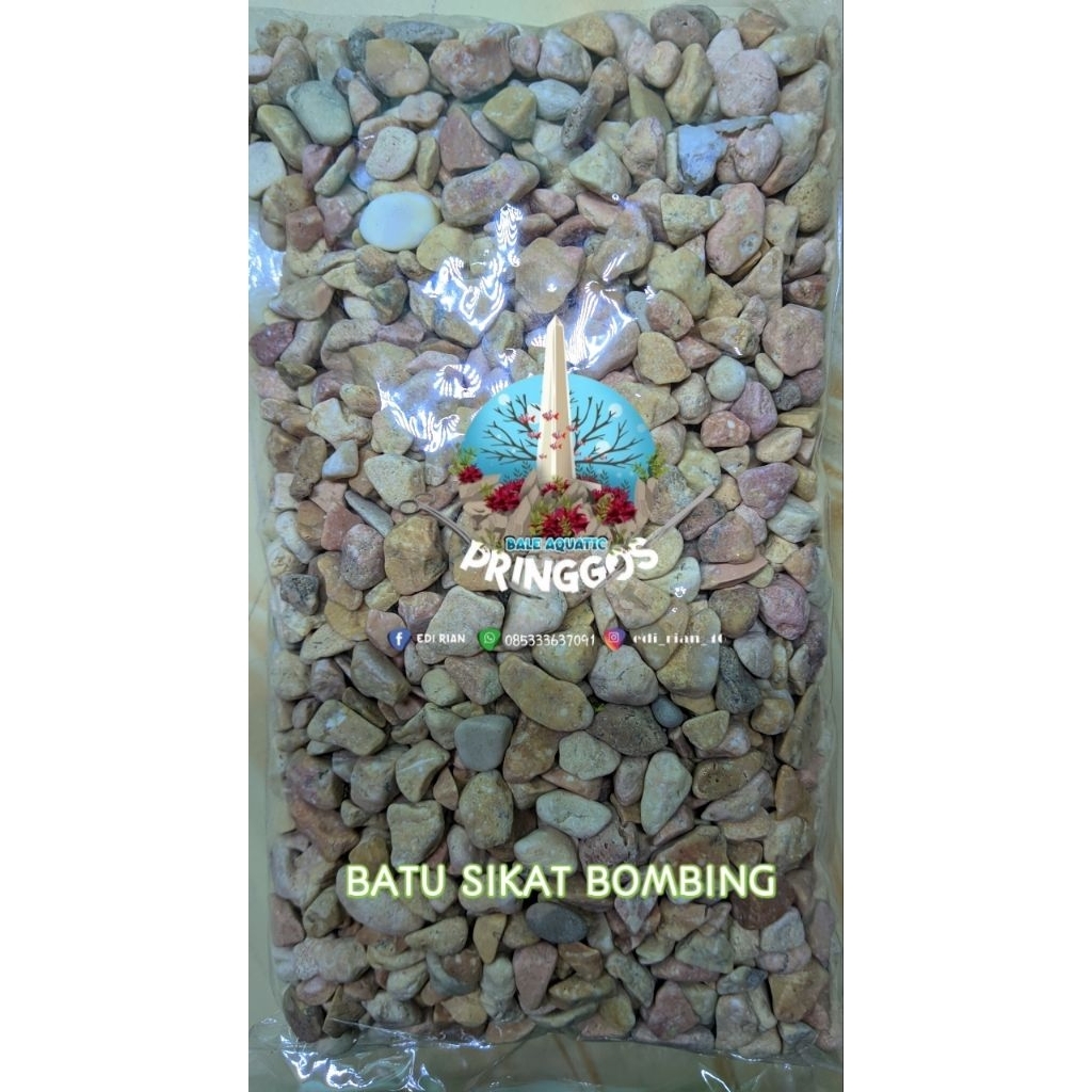 BATU SIKAT BOMBING, AQUARIUM