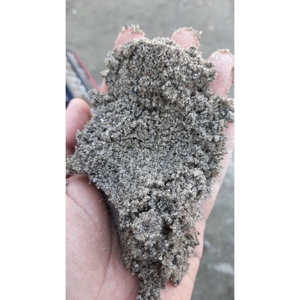 pasir pasang cuci/Pasir Plester