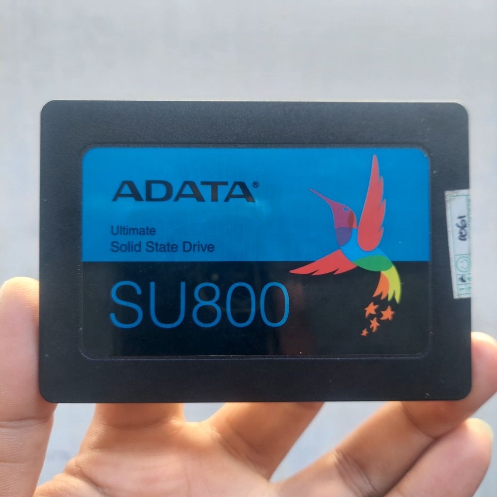 SSD ADATA SU800 256GB