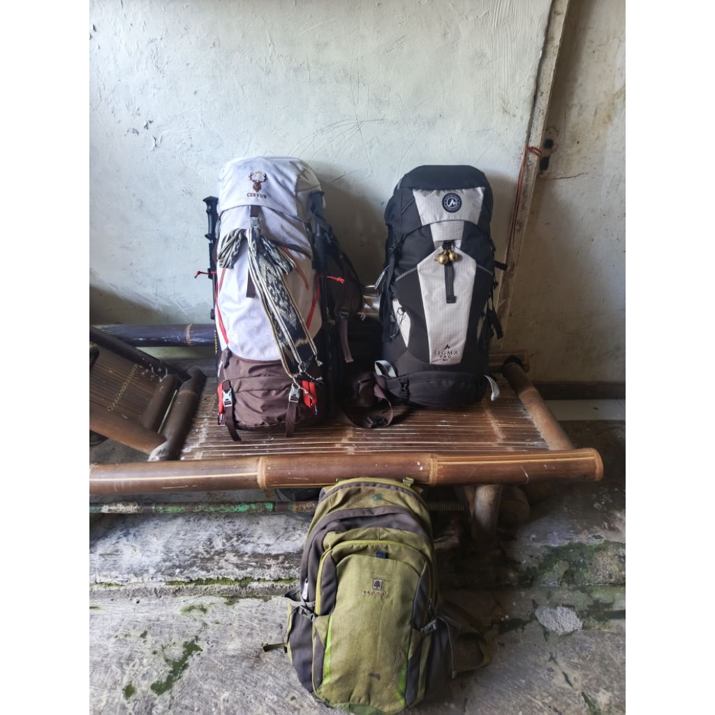 carrier cervus 60L