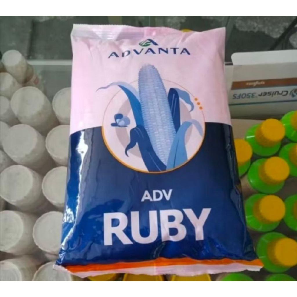 BANIH JAGUNG ADV RUBY 1KG