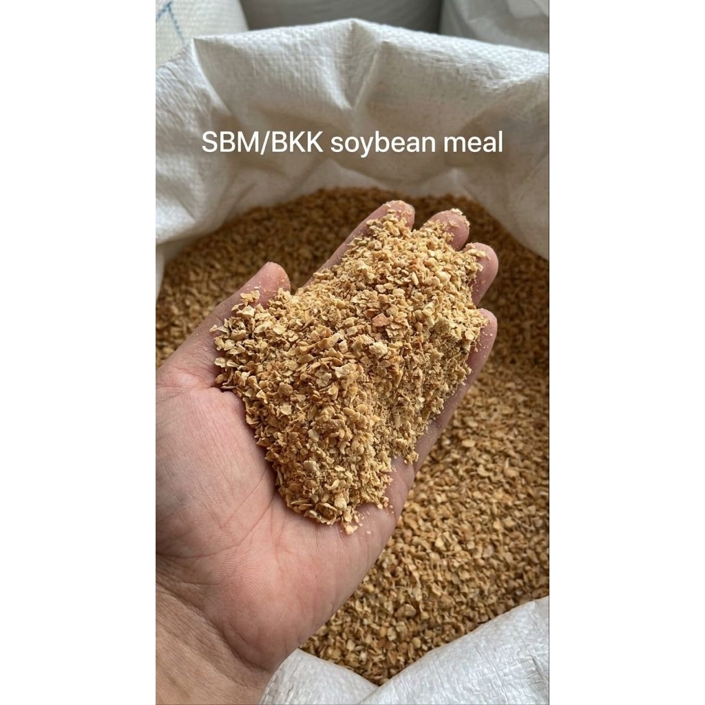 BKK/SBM BUNGKIL KEDELAI ARGENTINA 1KG