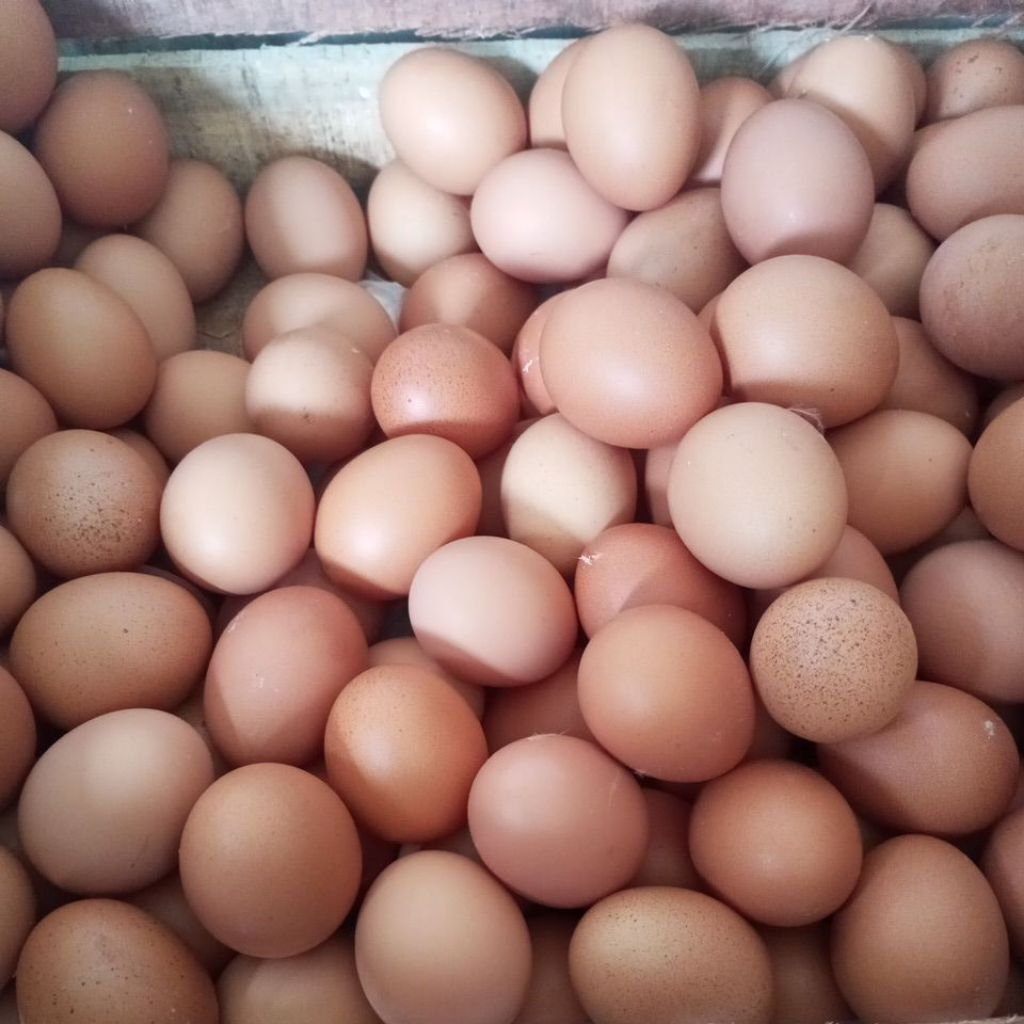 Telur Ayam Omega 3 Premium - Tinggi Omega, Selenium, dan Protein