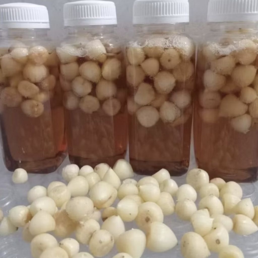 Bawang Lanang Madu Randu 1kg/ Madu Bawang Lanang