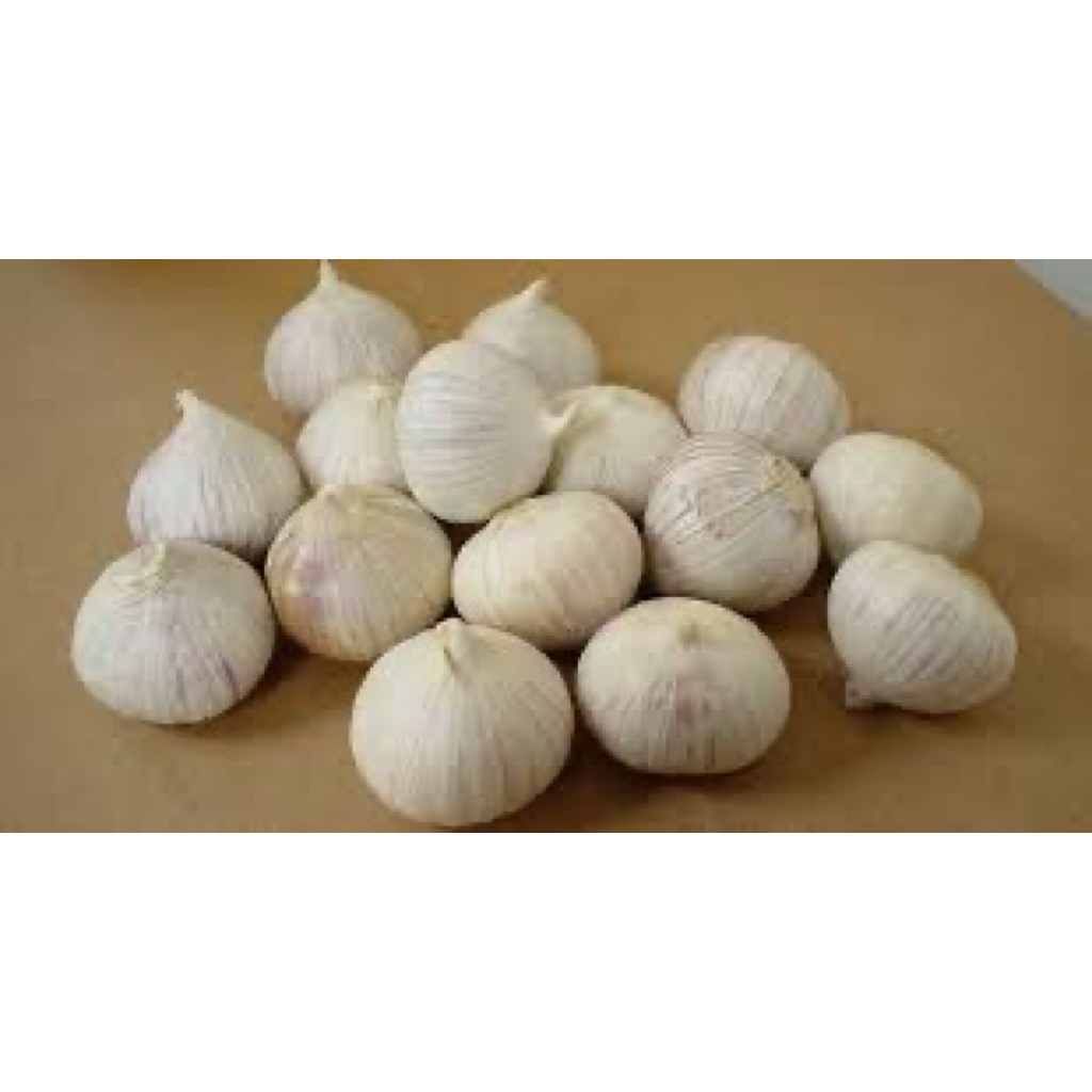Bawang Putih Tunggal 1Kg