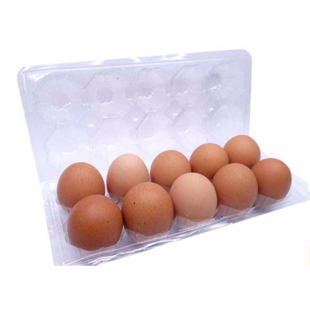 telur ayam negeri isi 10 per mika