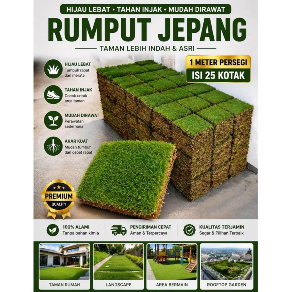 TANI SUBUR - Rumput Jepang Hidup 20x20 cm Untuk Makam/Kuburan