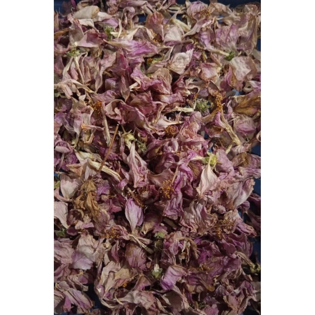 Bunga sepatu merah kering/teh 25 gram