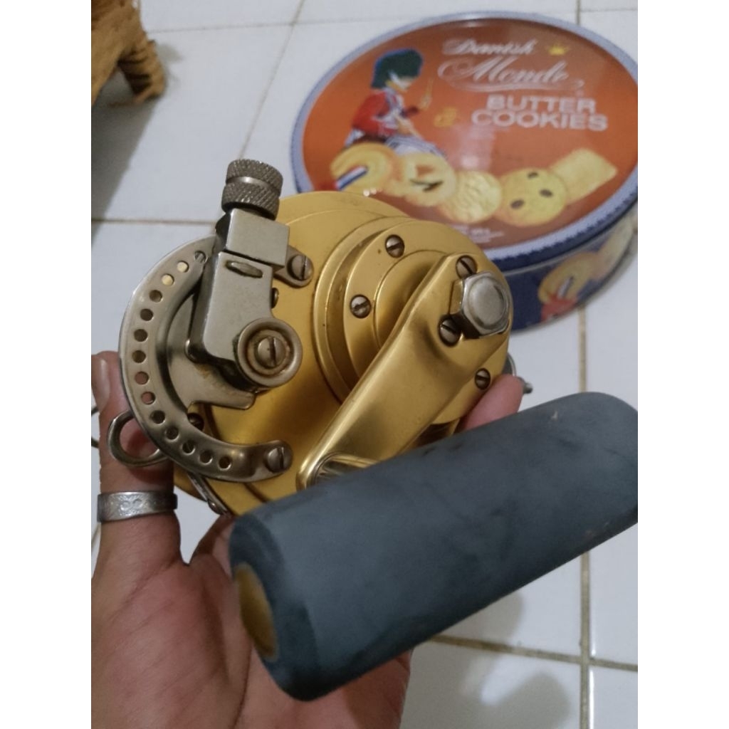 Reel Overhead Trolling Fin-Nor