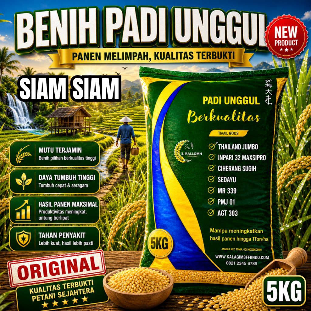 BENIH PADI UNGGUL SIAM-SIAM KEMASAN 5 kg. BENIH PADI KUALITAS GENJAH ORIGINAL