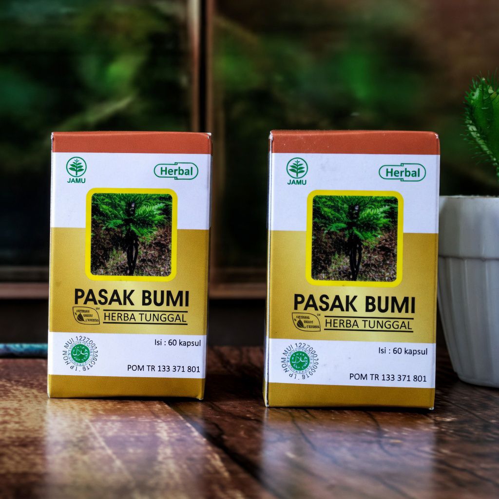 PASAK BUMI  Herbal Indo Utama HIU - Kapsul ekstrak Akar Pasak Bumi