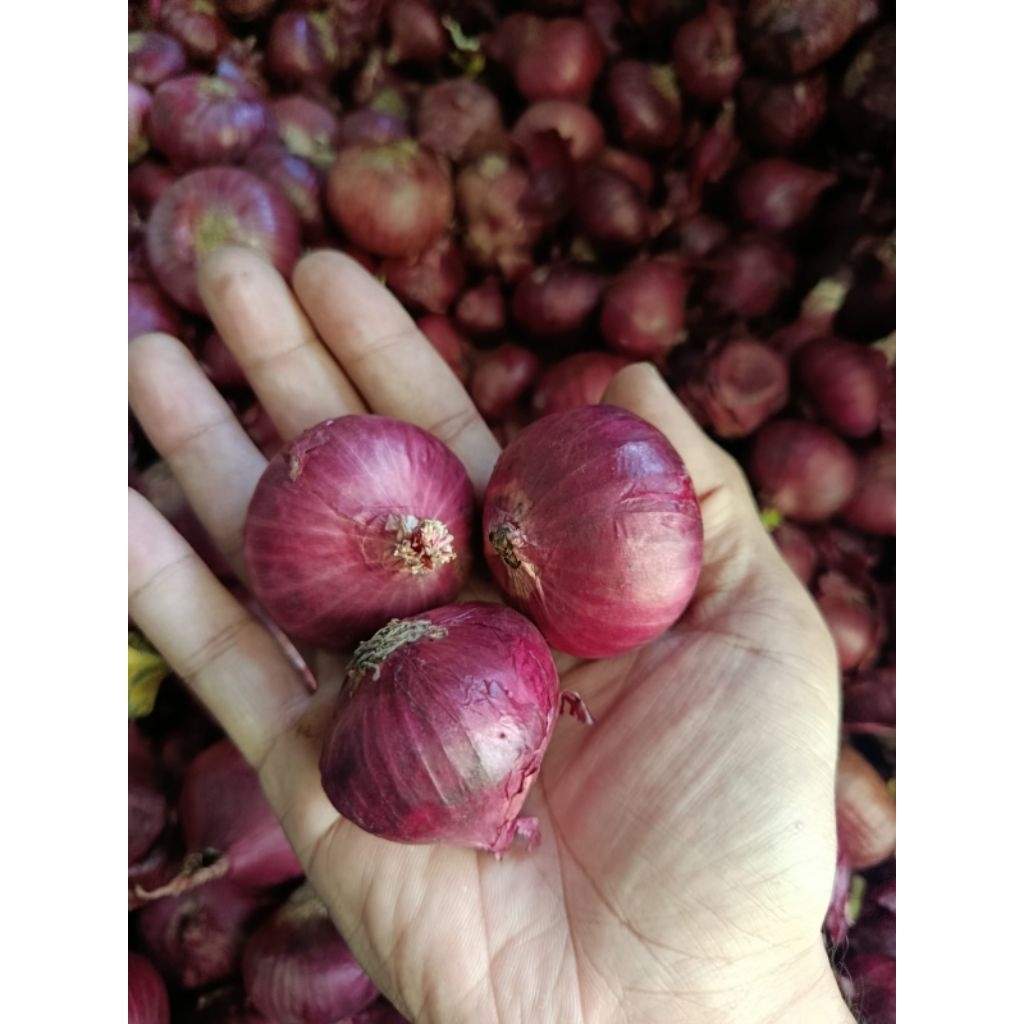 Bawang merah||Jawa Timur/harga murah langsung dari petani/500gr - 1kg