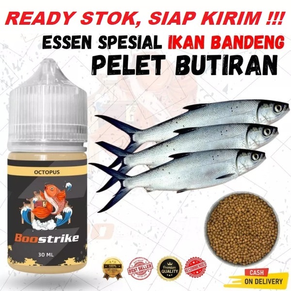 BOOSTRIKE ESSEN IKAN BANDENG UMPAN PELET BUTIRAN PALING GACOR ISI 30ML | UMPAN MANCING BANDENG AMPUH