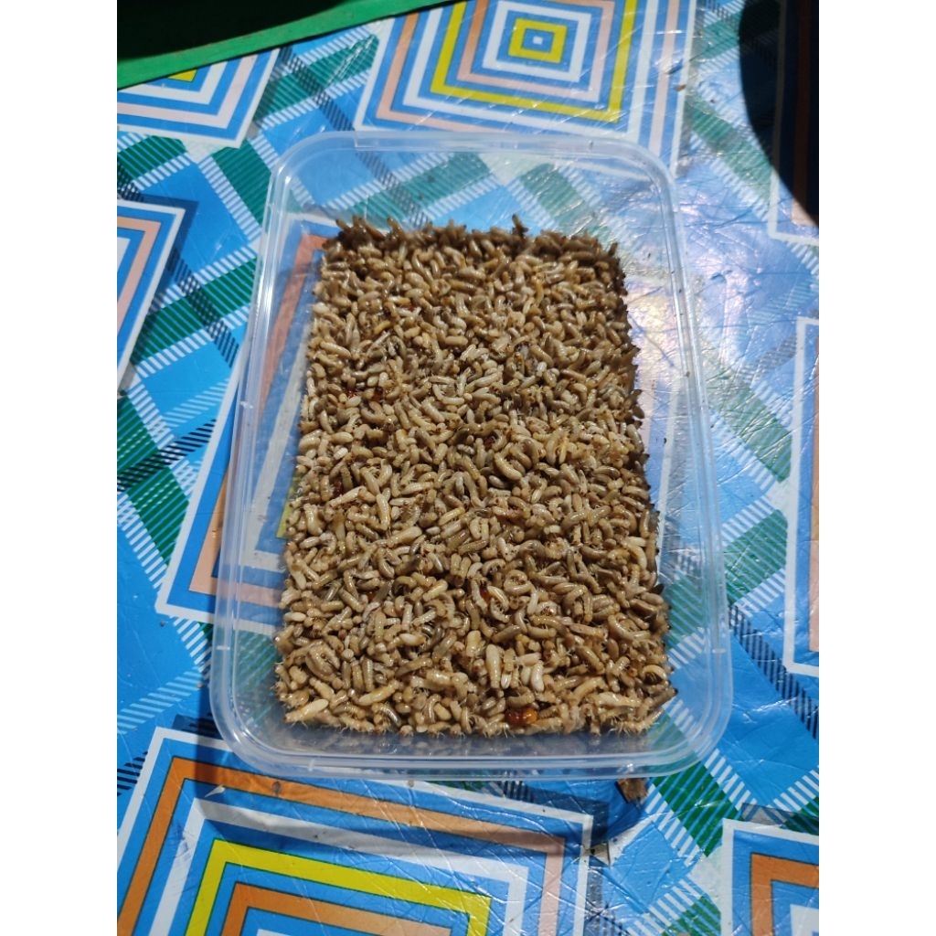 pua/warangas bajra