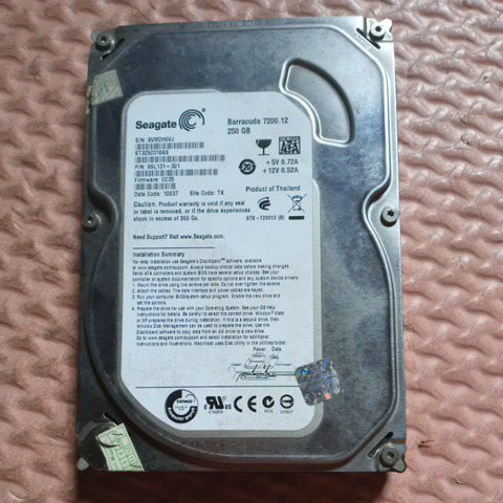 HARDISK PC 250 GB