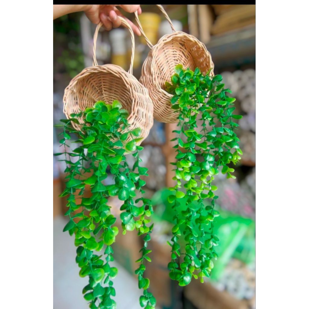 Daun juntai+pot gantung rotan / hiasan dinding daun artificialDaun juntai+pot rotan gantung
45.000+p