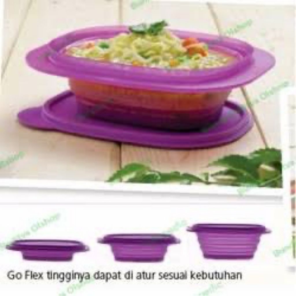 Goflex Tupperware