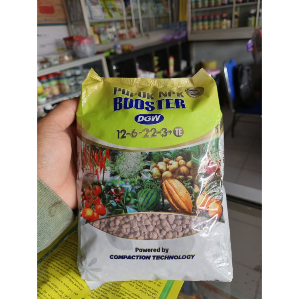 pupuk NPK boster DGW kemasan 1 kg meningkatkan bobot buah dan tahan terhadap penyakit