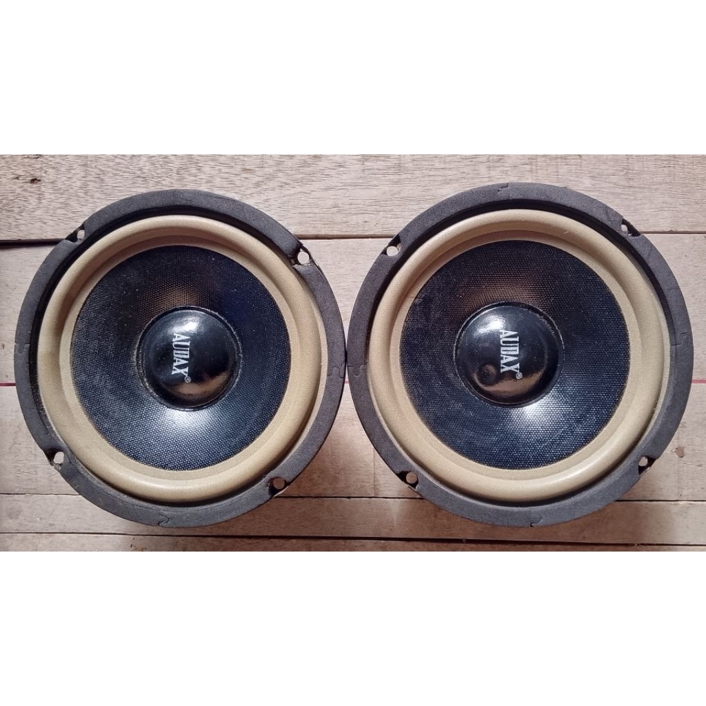 speaker Audax 6 in