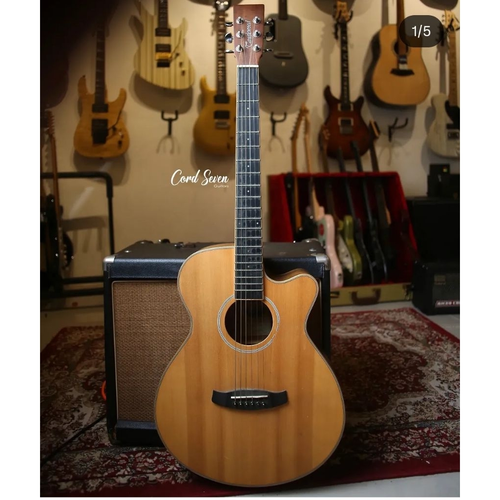Tanglewood DBT SFCE PW seken