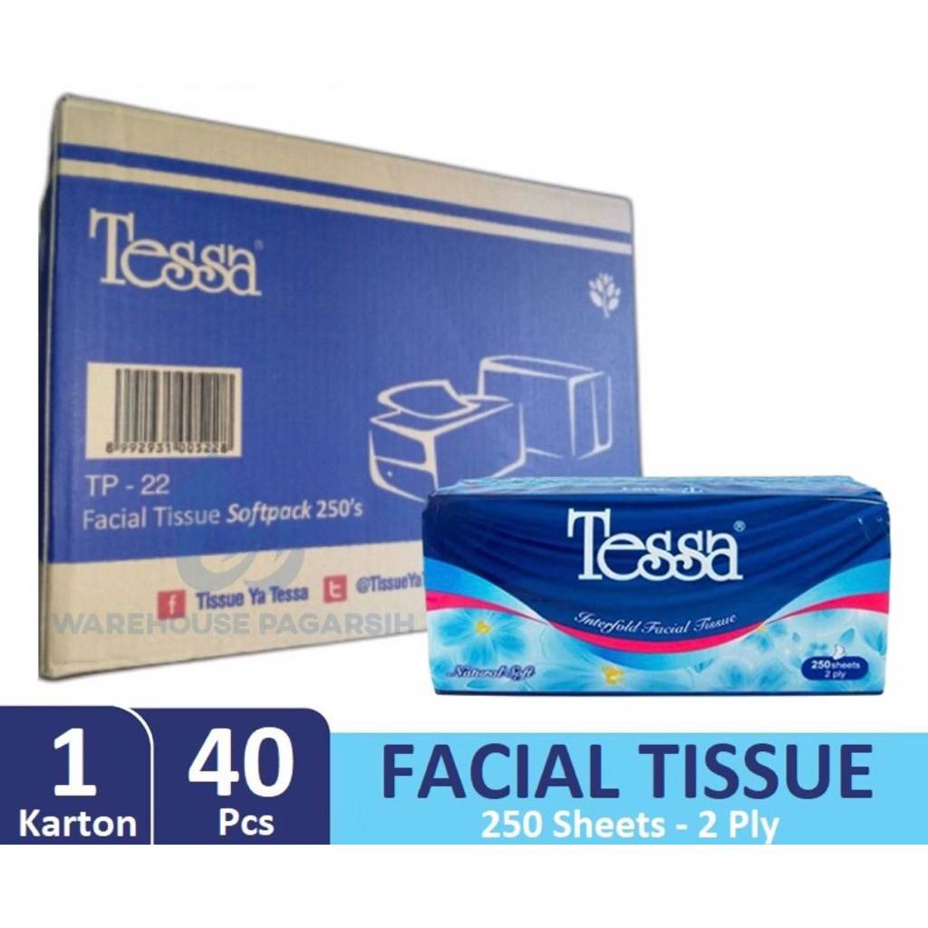 Tisu Tessa 250s 1 DUS (Tessa Tissue 250 sheets per KARTON)