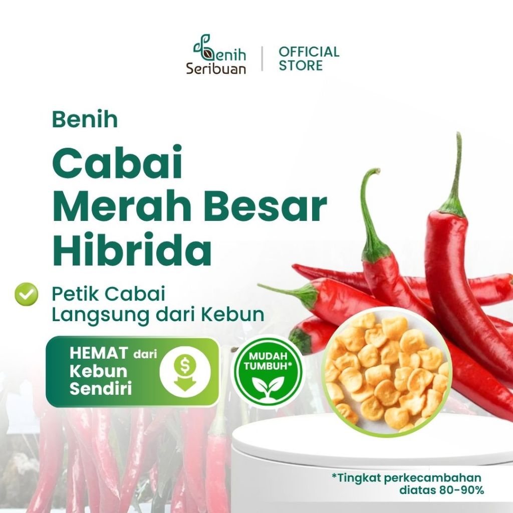 Benih Seribuan - 5 Benih Cabe Merah Besar F1 Hibrida