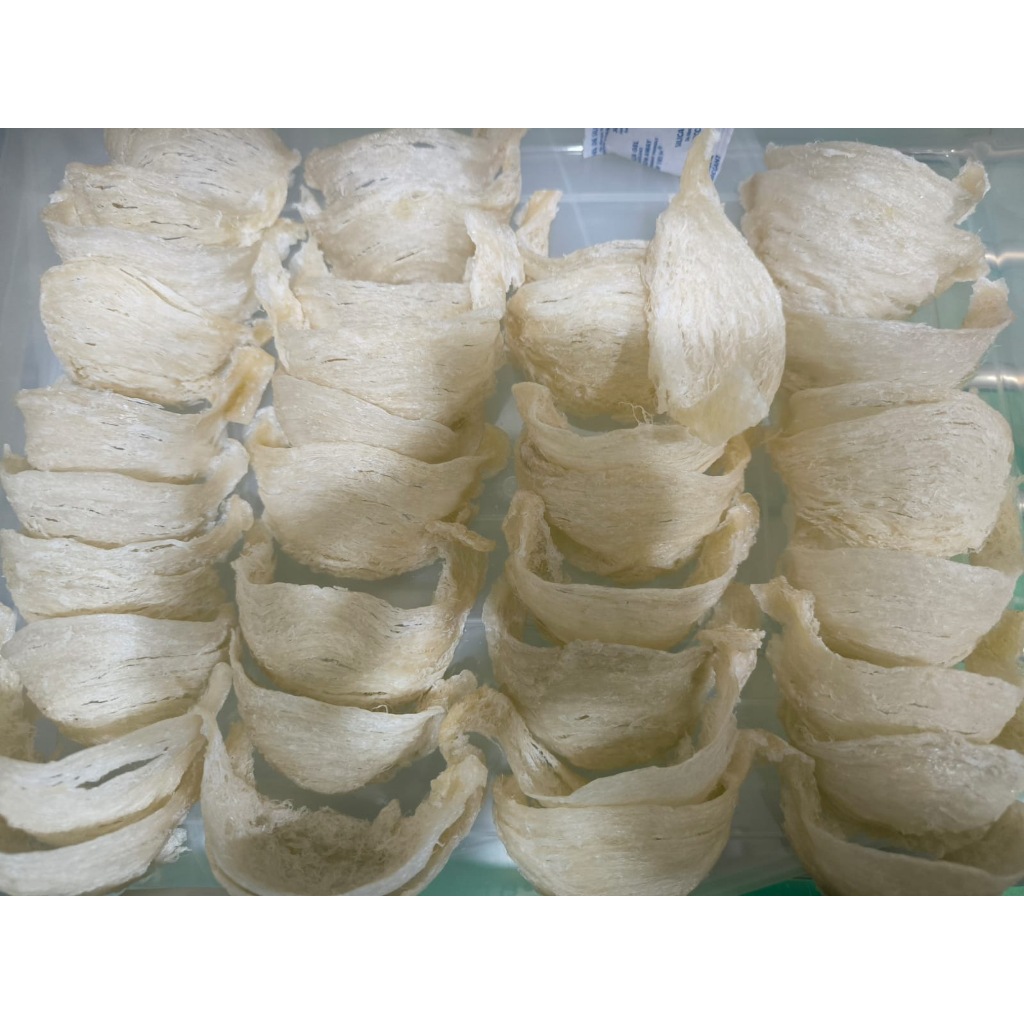 Sarang Burung Walet Premium Asli 100 % - Super
