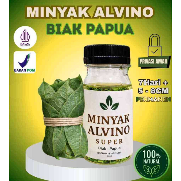 BESTT SELLER!! ALVINO MINYAK PIJAT DAUN TIGA JARI ALVINO KHAS PAPUA / MINYAK PIJAT ALVINO / MINYAK T