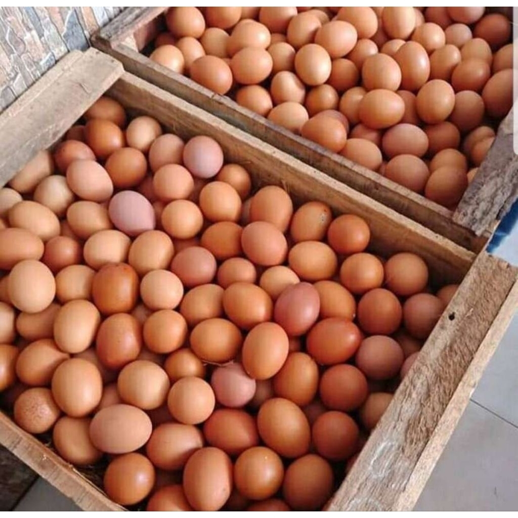 Telur Ayam negeri/ telur ayam
