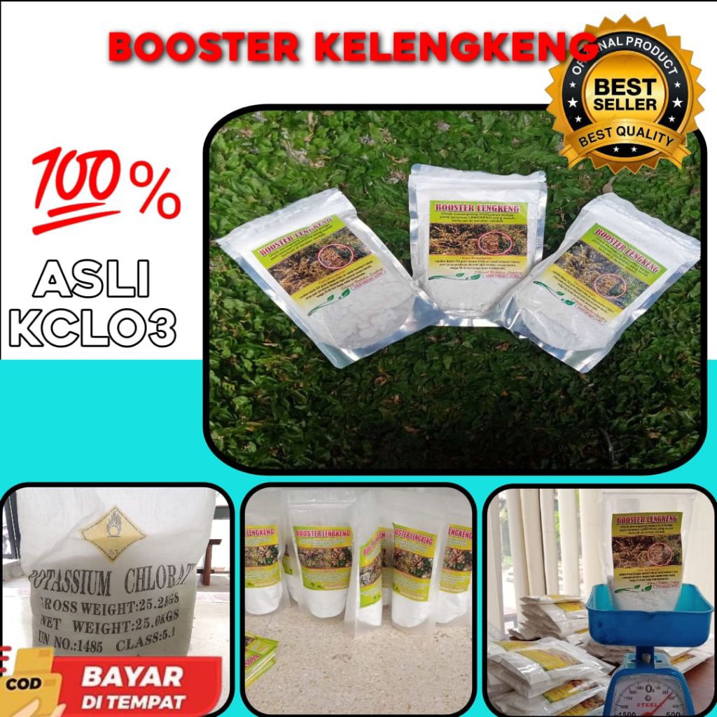 TERBUKTI AMPUH  Boster Kelengkeng Buat Kelengkeng, Boster Kelengkeng Cair, Boster Kelengkeng Itoh