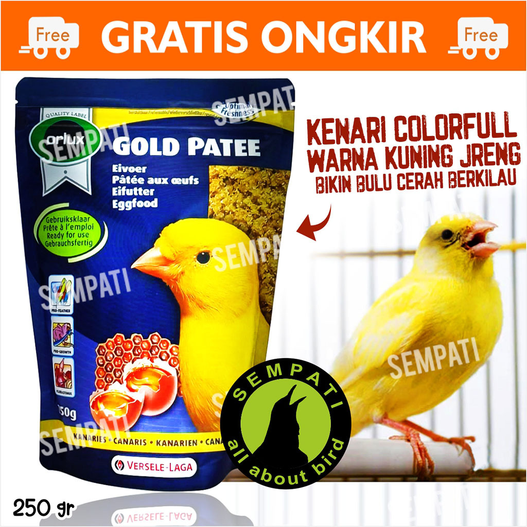 SEMPATI Gold Patte Yellow Versele Laga Gold Patee Profi 250gr Egg Food Pakan Burung Kenari Kuning Lo